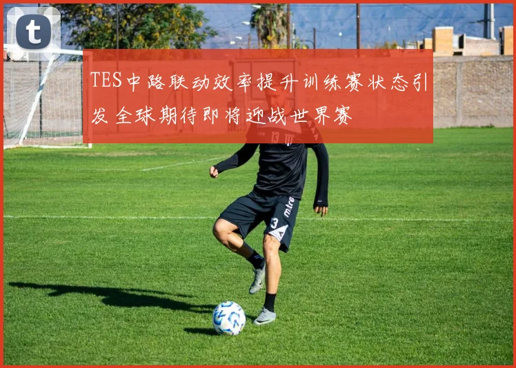 TES中路联动效率提升训练赛状态引发全球期待即将迎战世界赛