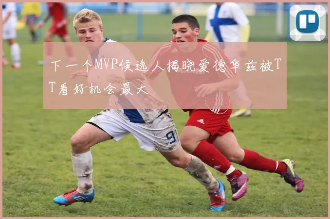 下一个MVP候选人揭晓爱德华兹被TT看好机会最大